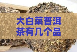 大白菜普洱茶有几个