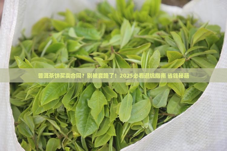 普洱茶饼买卖合同