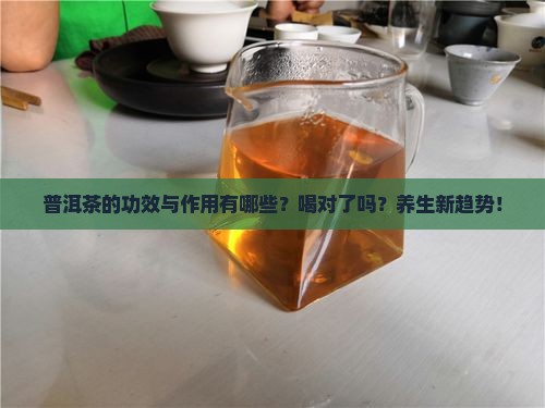 普洱茶的功效与作用有哪些