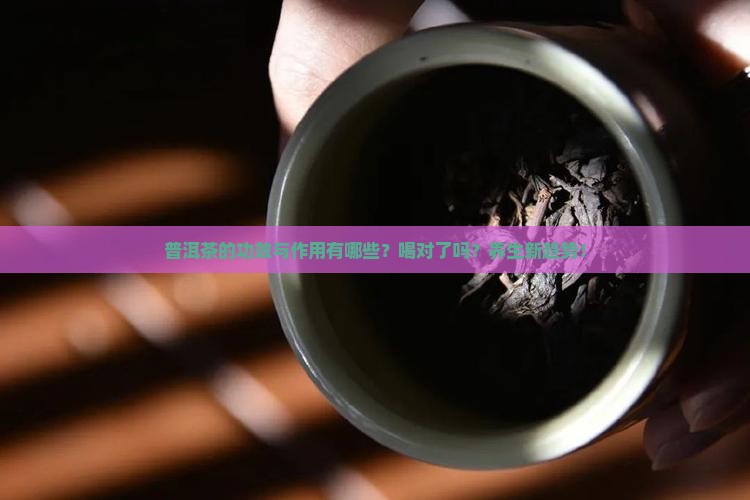 普洱茶的功效与作用有哪些