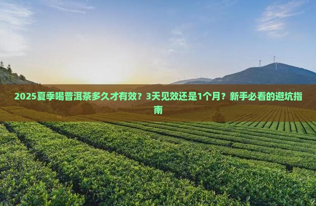 普洱茶功效夏季喝多久有效