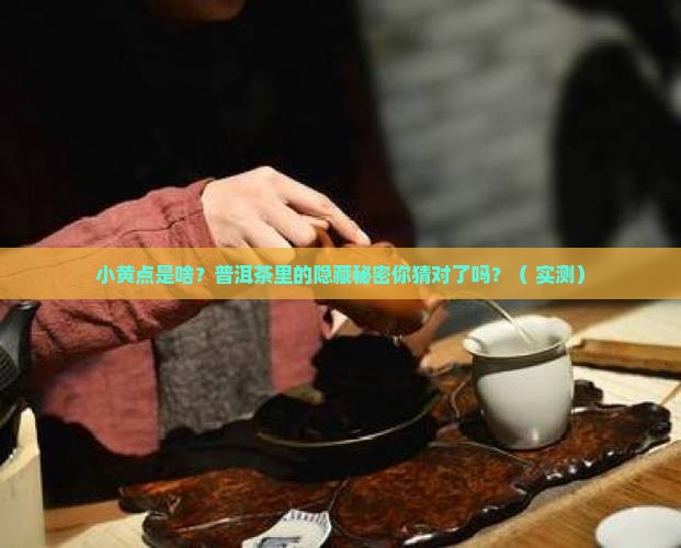 普洱茶的小黄点是什么