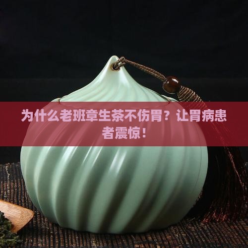 为什么老班章生茶不伤胃