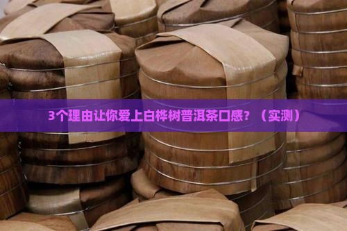 白桦树普洱茶口感