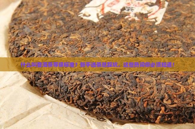 什么叫普洱茶等级标准
