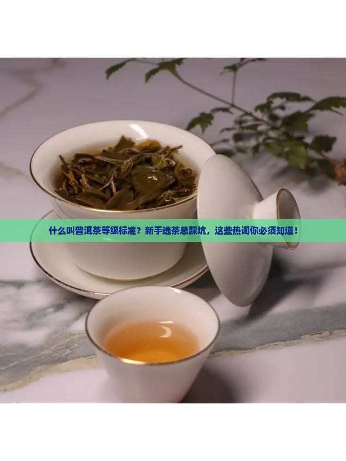 什么叫普洱茶等级标准
