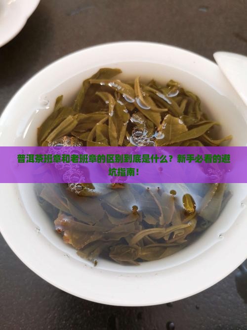 普洱茶班章和老班章的区别