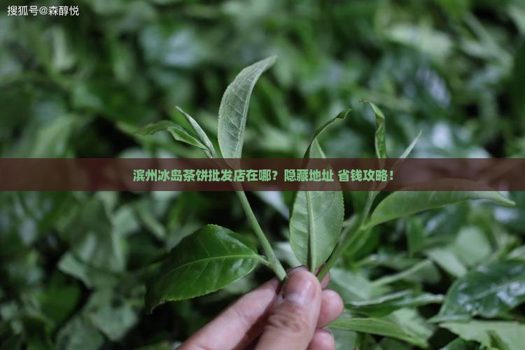 滨州冰岛茶饼批发商店地址 滨州冰岛茶饼批发商店地址