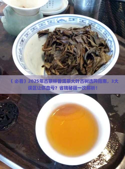 古茶林普洱茶大叶古树