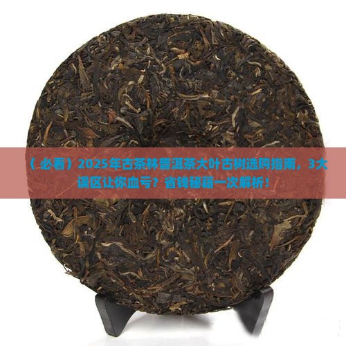 古茶林普洱茶大叶古树