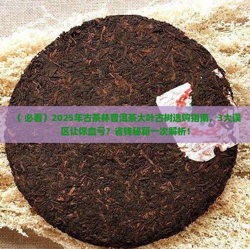 古茶林普洱茶大叶古树