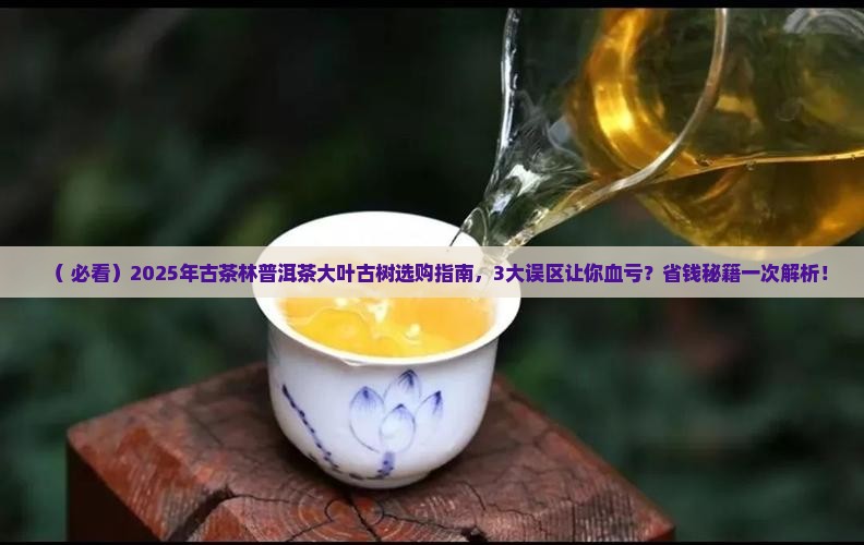 古茶林普洱茶大叶古树