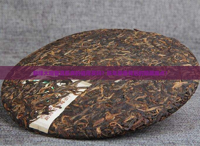 新绎大观普洱茶