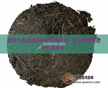 新绎大观普洱茶
