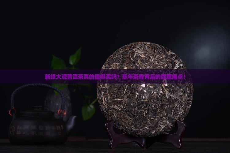 新绎大观普洱茶