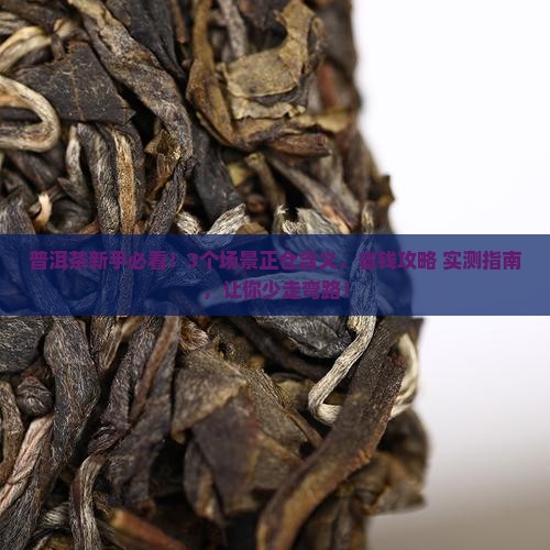 普洱茶的正仓是什么意思