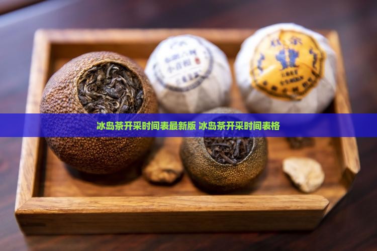 冰岛茶开采时间表