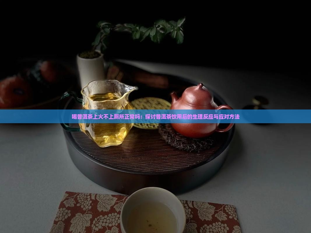 喝普洱茶上火不上厕所正常吗：探讨普洱茶饮用后的生理反应与应对方法