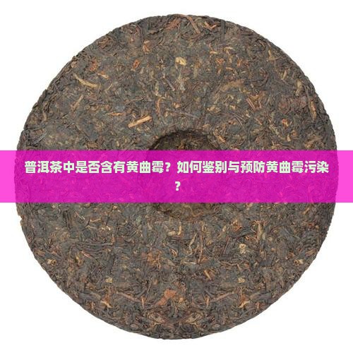 普洱茶中是否含有黄曲霉？如何鉴别与预防黄曲霉污染？