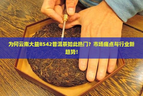 为何云南大益8542普洱茶如此热门？市场痛点与行业新趋势！