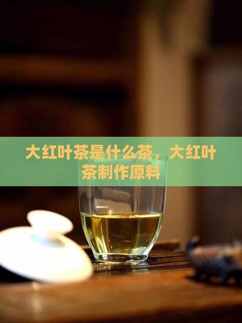大红叶茶是什么茶，大红叶茶制作原料