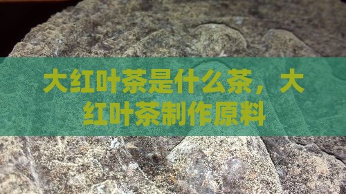 大红叶茶是什么茶，大红叶茶制作原料