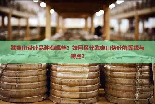 武夷山茶叶品种有哪些？如何区分武夷山茶叶的等级与特点？
