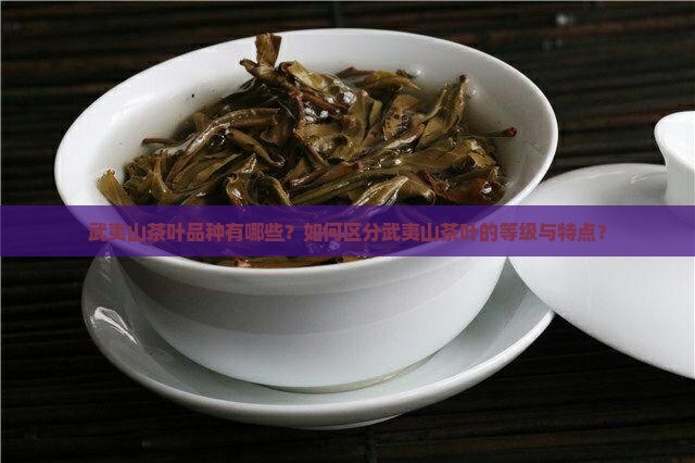 武夷山茶叶品种有哪些？如何区分武夷山茶叶的等级与特点？