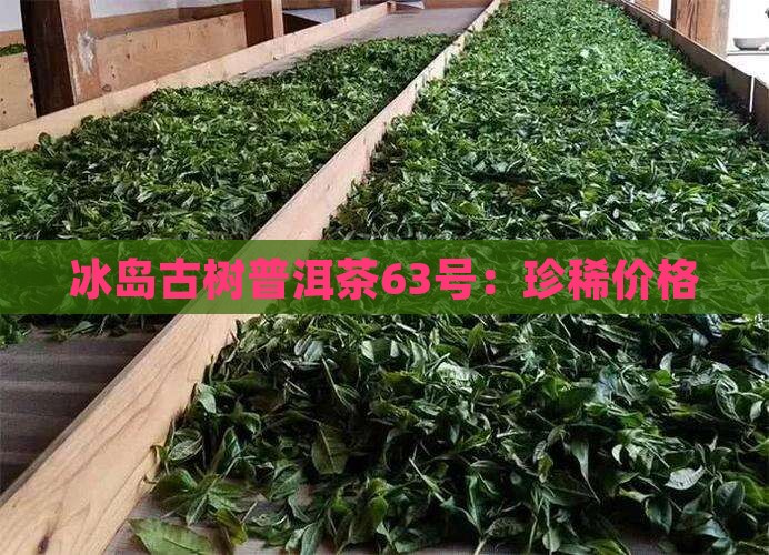 冰岛古树普洱茶63号：珍稀价格