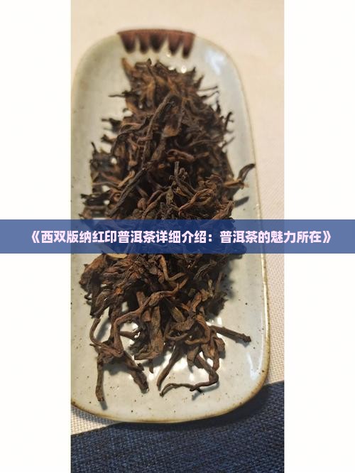 《西双版纳红印普洱茶详细介绍：普洱茶的魅力所在》
