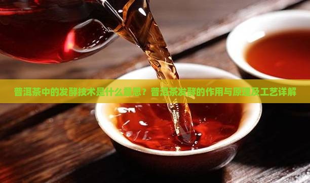 普洱茶中的发酵技术是什么意思？普洱茶发酵的作用与原理及工艺详解