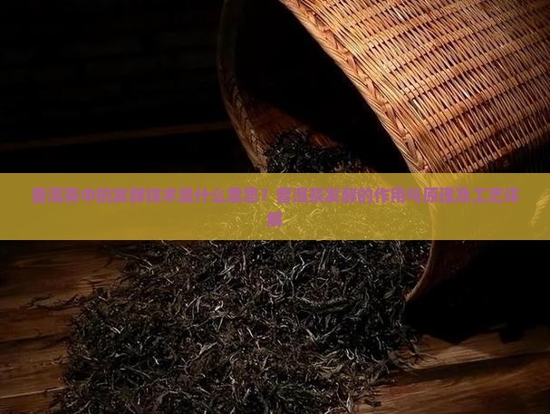 普洱茶中的发酵技术是什么意思？普洱茶发酵的作用与原理及工艺详解