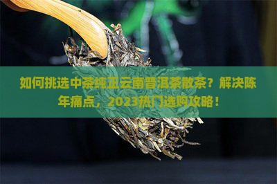 如何挑选中茶纯正云南普洱茶散茶？解决陈年痛点，2023热门选购攻略！