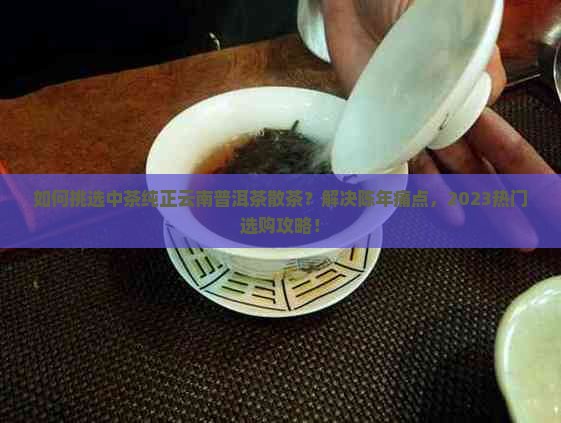 如何挑选中茶纯正云南普洱茶散茶？解决陈年痛点，2023热门选购攻略！