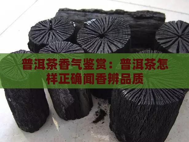 普洱茶香气鉴赏：普洱茶怎样正确闻香辨品质