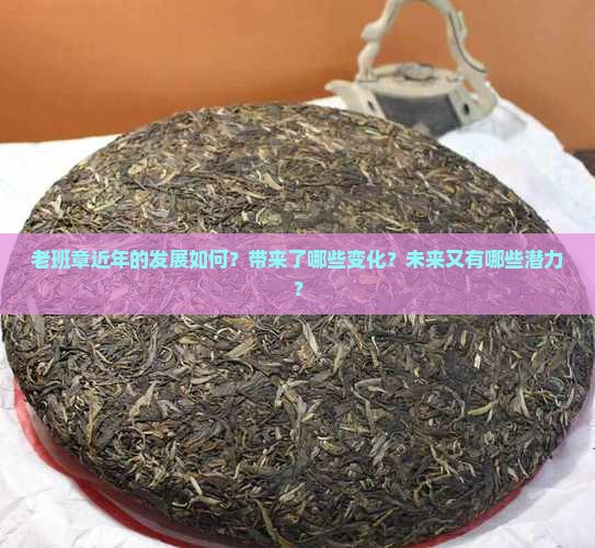老班章近年的发展如何？带来了哪些变化？未来又有哪些潜力？