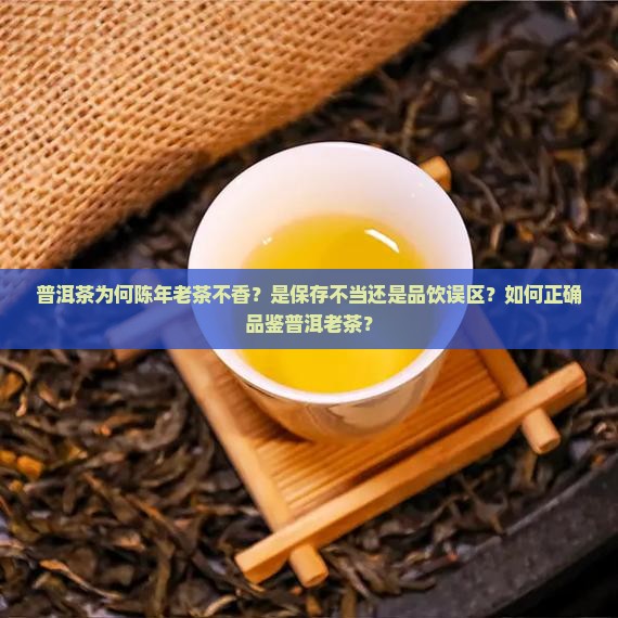 普洱茶为何陈年老茶不香？是保存不当还是品饮误区？如何正确品鉴普洱老茶？