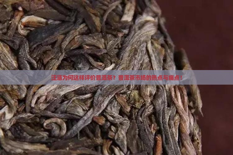 汪涵为何这样评价普洱茶？普洱茶市场的热点与痛点！