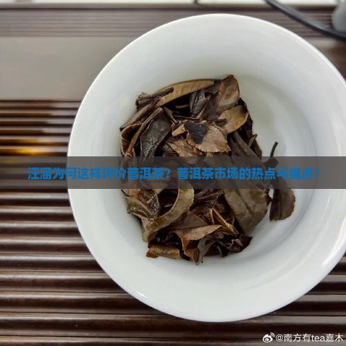 汪涵为何这样评价普洱茶？普洱茶市场的热点与痛点！