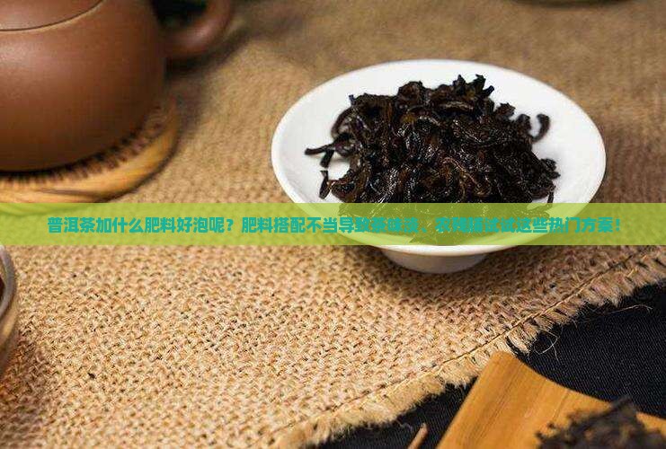 普洱茶加什么肥料好泡呢？肥料搭配不当导致茶味淡、农残脯试试这些热门方案！