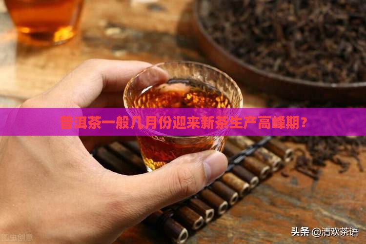 普洱茶一般几月份迎来新茶生产高峰期？