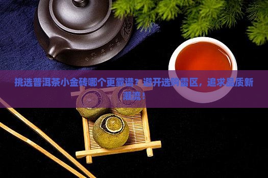 挑选普洱茶小金砖哪个更靠谱？避开选购雷区，追求品质新潮流！