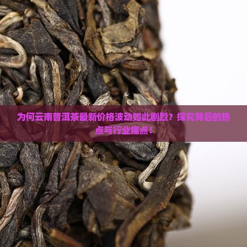 为何云南普洱茶最新价格波动如此剧烈？探究背后的热点与行业痛点！
