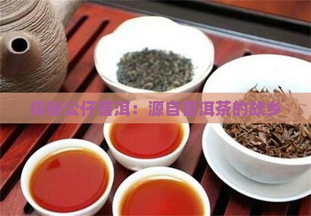探秘公仔普洱：源自普洱茶的故乡