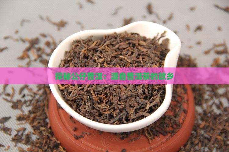 探秘公仔普洱：源自普洱茶的故乡