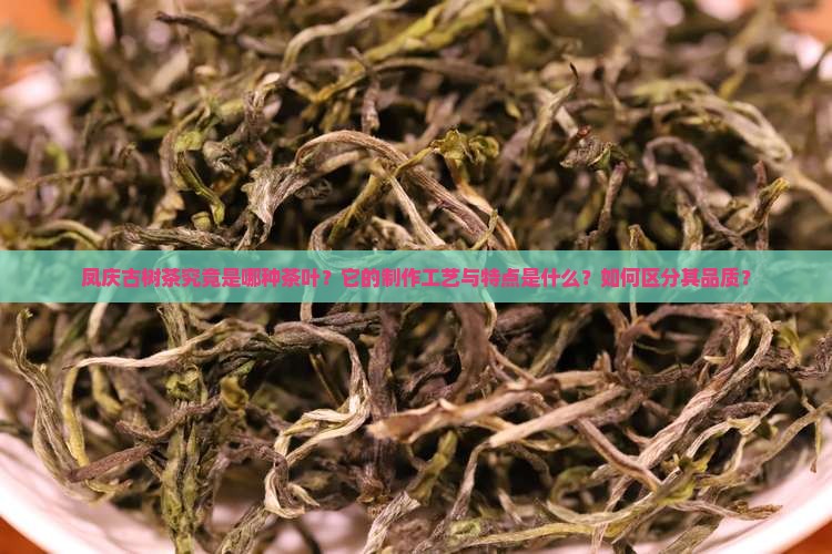凤庆古树茶究竟是哪种茶叶？它的制作工艺与特点是什么？如何区分其品质？