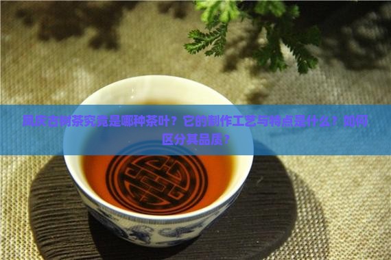 凤庆古树茶究竟是哪种茶叶？它的制作工艺与特点是什么？如何区分其品质？