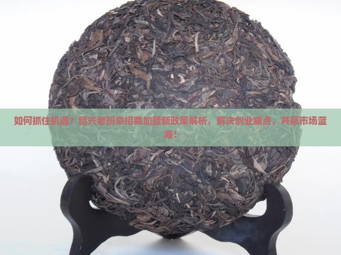 如何抓住机遇？绍兴老班章招商加盟新政策解析，解决创业痛点，共赢市场蓝海！