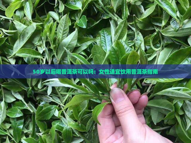 50岁以后喝普洱茶可以吗：女性适宜饮用普洱茶指南