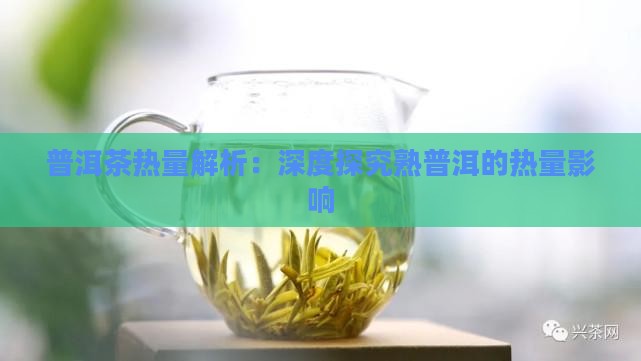普洱茶热量解析：深度探究熟普洱的热量影响